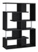 Transitional Black Bookcase - Premium Bookcase from Coaster Z2 Standard - Just $258! Shop now at Furniture Wholesale Plus  We are the best furniture store in Nashville, Hendersonville, Goodlettsville, Madison, Antioch, Mount Juliet, Lebanon, Gallatin, Springfield, Murfreesboro, Franklin, Brentwood