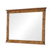 Brenner Rustic Honey Mirror - Premium Mirror from Coaster Z2 Standard - Just $156! Shop now at Furniture Wholesale Plus  We are the best furniture store in Nashville, Hendersonville, Goodlettsville, Madison, Antioch, Mount Juliet, Lebanon, Gallatin, Springfield, Murfreesboro, Franklin, Brentwood