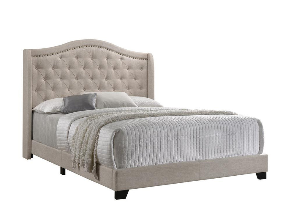 G310073 E King Bed - Premium Eastern King Bed from Coaster Z2 Standard - Just $390! Shop now at Furniture Wholesale Plus  We are the best furniture store in Nashville, Hendersonville, Goodlettsville, Madison, Antioch, Mount Juliet, Lebanon, Gallatin, Springfield, Murfreesboro, Franklin, Brentwood