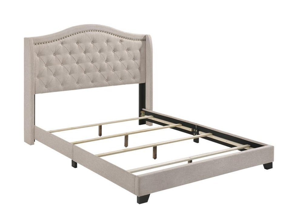 G310073 Full Bed - Premium Full Bed from Coaster Z2 Standard - Just $298! Shop now at Furniture Wholesale Plus  We are the best furniture store in Nashville, Hendersonville, Goodlettsville, Madison, Antioch, Mount Juliet, Lebanon, Gallatin, Springfield, Murfreesboro, Franklin, Brentwood