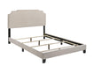 G310061 Queen Bed - Premium Queen Bed from Coaster Z2 Standard - Just $218! Shop now at Furniture Wholesale Plus  We are the best furniture store in Nashville, Hendersonville, Goodlettsville, Madison, Antioch, Mount Juliet, Lebanon, Gallatin, Springfield, Murfreesboro, Franklin, Brentwood