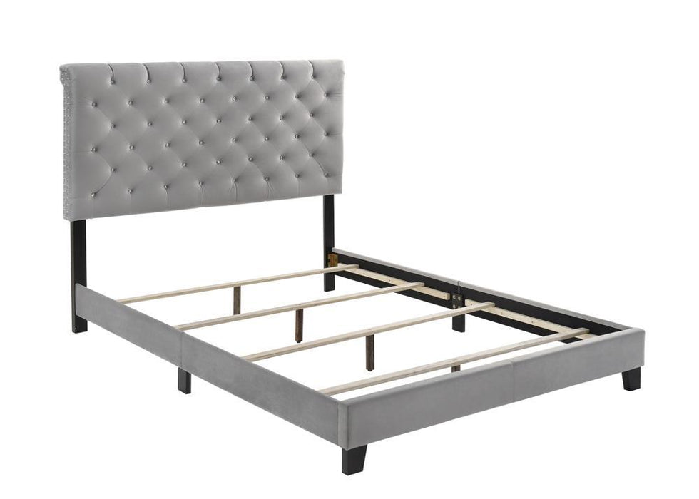 G310042 Queen Bed - Premium Queen Bed from Coaster Z2 Standard - Just $290! Shop now at Furniture Wholesale Plus  We are the best furniture store in Nashville, Hendersonville, Goodlettsville, Madison, Antioch, Mount Juliet, Lebanon, Gallatin, Springfield, Murfreesboro, Franklin, Brentwood