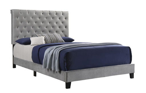 G310042 E King Bed - Premium Eastern King Bed from Coaster Z2 Standard - Just $350! Shop now at Furniture Wholesale Plus  We are the best furniture store in Nashville, Hendersonville, Goodlettsville, Madison, Antioch, Mount Juliet, Lebanon, Gallatin, Springfield, Murfreesboro, Franklin, Brentwood
