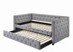 G302161 Twin Daybed W/ Trundle - Premium Day Bed from Coaster Z2 Standard - Just $570! Shop now at Furniture Wholesale Plus  We are the best furniture store in Nashville, Hendersonville, Goodlettsville, Madison, Antioch, Mount Juliet, Lebanon, Gallatin, Springfield, Murfreesboro, Franklin, Brentwood