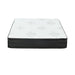 G350373 11.5"  Full Mattress - Premium Bed from Coaster Z2 Standard - Just $598! Shop now at Furniture Wholesale Plus  We are the best furniture store in Nashville, Hendersonville, Goodlettsville, Madison, Antioch, Mount Juliet, Lebanon, Gallatin, Springfield, Murfreesboro, Franklin, Brentwood