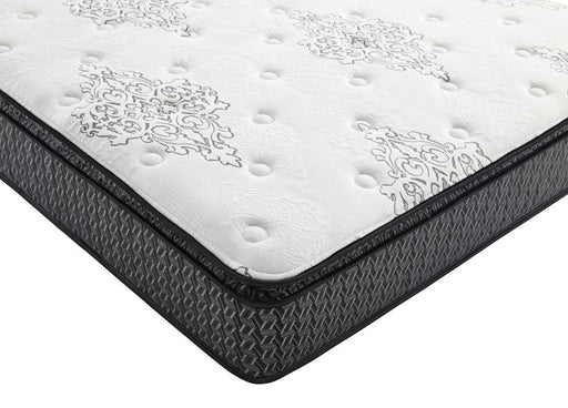 G350373 11.5"  Queen Mattress - Premium Bed from Coaster Z2 Standard - Just $658! Shop now at Furniture Wholesale Plus  We are the best furniture store in Nashville, Hendersonville, Goodlettsville, Madison, Antioch, Mount Juliet, Lebanon, Gallatin, Springfield, Murfreesboro, Franklin, Brentwood