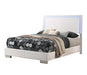 G203503 Full Bed - Premium Full Size Bed from Coaster Z2 Standard - Just $446! Shop now at Furniture Wholesale Plus  We are the best furniture store in Nashville, Hendersonville, Goodlettsville, Madison, Antioch, Mount Juliet, Lebanon, Gallatin, Springfield, Murfreesboro, Franklin, Brentwood