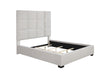 Panes Queen Tufted Upholstered Panel Bed Beige - Premium Bed from Coaster Z2 Standard - Just $678! Shop now at Furniture Wholesale Plus  We are the best furniture store in Nashville, Hendersonville, Goodlettsville, Madison, Antioch, Mount Juliet, Lebanon, Gallatin, Springfield, Murfreesboro, Franklin, Brentwood