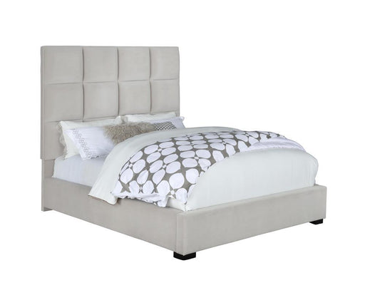 G315850 Queen Bed - Premium Uph Queen Bed from Coaster Z2 Standard - Just $678! Shop now at Furniture Wholesale Plus  We are the best furniture store in Nashville, Hendersonville, Goodlettsville, Madison, Antioch, Mount Juliet, Lebanon, Gallatin, Springfield, Murfreesboro, Franklin, Brentwood