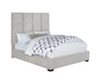 Panes Queen Tufted Upholstered Panel Bed Beige - Premium Bed from Coaster Z2 Standard - Just $678! Shop now at Furniture Wholesale Plus  We are the best furniture store in Nashville, Hendersonville, Goodlettsville, Madison, Antioch, Mount Juliet, Lebanon, Gallatin, Springfield, Murfreesboro, Franklin, Brentwood