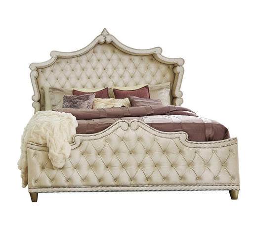 223521KE E KING BED - Premium Bed from Coaster Z2 Standard - Just $1150! Shop now at Furniture Wholesale Plus  We are the best furniture store in Nashville, Hendersonville, Goodlettsville, Madison, Antioch, Mount Juliet, Lebanon, Gallatin, Springfield, Murfreesboro, Franklin, Brentwood