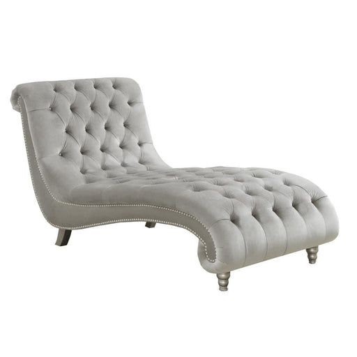 905468 CHAISE - Premium Chaise from Coaster Z2 Standard - Just $858! Shop now at Furniture Wholesale Plus  We are the best furniture store in Nashville, Hendersonville, Goodlettsville, Madison, Antioch, Mount Juliet, Lebanon, Gallatin, Springfield, Murfreesboro, Franklin, Brentwood