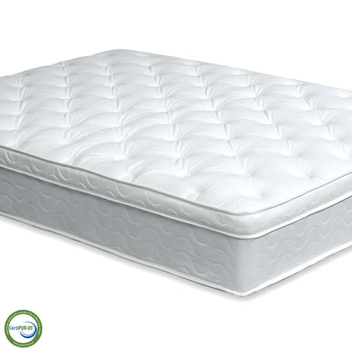 Bird Of Paradise White 11" Euro Pillow Top Mattress, E.King - Premium Mattress from FOA East - Just $778.05! Shop now at Furniture Wholesale Plus  We are the best furniture store in Nashville, Hendersonville, Goodlettsville, Madison, Antioch, Mount Juliet, Lebanon, Gallatin, Springfield, Murfreesboro, Franklin, Brentwood