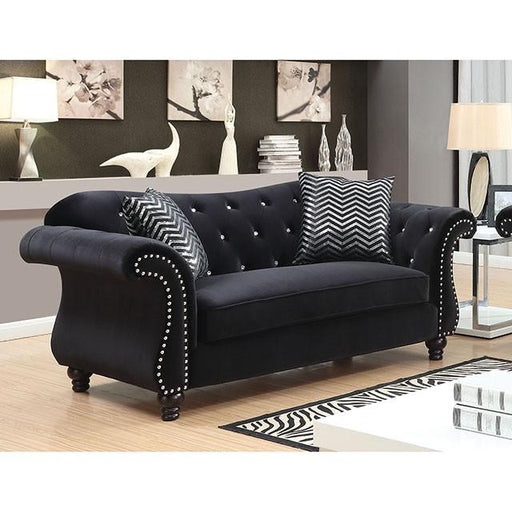 JOLANDA Loveseat - Premium Loveseat from FOA East - Just $1039.35! Shop now at Furniture Wholesale Plus  We are the best furniture store in Nashville, Hendersonville, Goodlettsville, Madison, Antioch, Mount Juliet, Lebanon, Gallatin, Springfield, Murfreesboro, Franklin, Brentwood