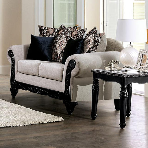 MOLFETTA Loveseat - Premium Loveseat from FOA East - Just $799.50! Shop now at Furniture Wholesale Plus  We are the best furniture store in Nashville, Hendersonville, Goodlettsville, Madison, Antioch, Mount Juliet, Lebanon, Gallatin, Springfield, Murfreesboro, Franklin, Brentwood