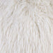 Sheri White 20" X 20" Pillow, Shaggy White (2/CTN) - Premium Pillow from FOA East - Just $76.05! Shop now at Furniture Wholesale Plus  We are the best furniture store in Nashville, Hendersonville, Goodlettsville, Madison, Antioch, Mount Juliet, Lebanon, Gallatin, Springfield, Murfreesboro, Franklin, Brentwood