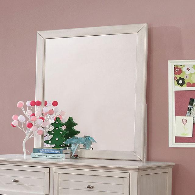 Brogan Antique White Mirror - Premium Mirror from FOA East - Just $105.30! Shop now at Furniture Wholesale Plus  We are the best furniture store in Nashville, Hendersonville, Goodlettsville, Madison, Antioch, Mount Juliet, Lebanon, Gallatin, Springfield, Murfreesboro, Franklin, Brentwood