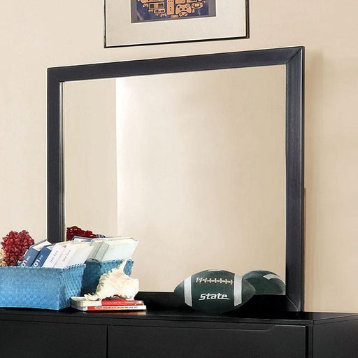 LENNART II Black Mirror - Premium Mirror from FOA East - Just $136.50! Shop now at Furniture Wholesale Plus  We are the best furniture store in Nashville, Hendersonville, Goodlettsville, Madison, Antioch, Mount Juliet, Lebanon, Gallatin, Springfield, Murfreesboro, Franklin, Brentwood