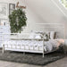 IRIA Vintage White Cal.King Bed - Premium Bed from FOA East - Just $391.95! Shop now at Furniture Wholesale Plus  We are the best furniture store in Nashville, Hendersonville, Goodlettsville, Madison, Antioch, Mount Juliet, Lebanon, Gallatin, Springfield, Murfreesboro, Franklin, Brentwood