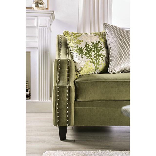 KAYE Loveseat - Premium Loveseat from FOA East - Just $1657.50! Shop now at Furniture Wholesale Plus  We are the best furniture store in Nashville, Hendersonville, Goodlettsville, Madison, Antioch, Mount Juliet, Lebanon, Gallatin, Springfield, Murfreesboro, Franklin, Brentwood