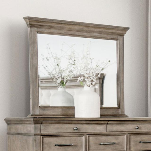 Philomath Mirror - Premium Mirror from FOA East - Just $195! Shop now at Furniture Wholesale Plus  We are the best furniture store in Nashville, Hendersonville, Goodlettsville, Madison, Antioch, Mount Juliet, Lebanon, Gallatin, Springfield, Murfreesboro, Franklin, Brentwood