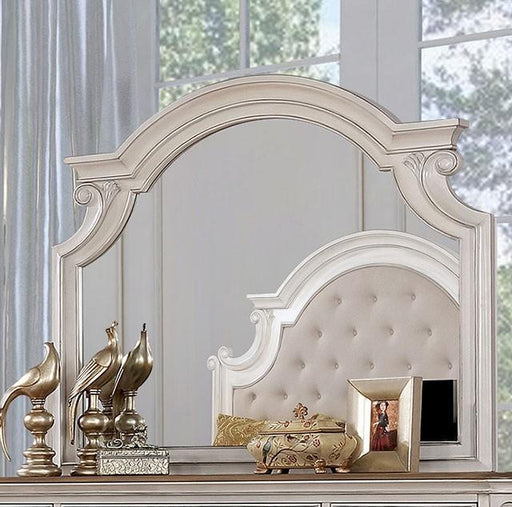 Pembroke Antique Whitewash Mirror - Premium Mirror from FOA East - Just $226.20! Shop now at Furniture Wholesale Plus  We are the best furniture store in Nashville, Hendersonville, Goodlettsville, Madison, Antioch, Mount Juliet, Lebanon, Gallatin, Springfield, Murfreesboro, Franklin, Brentwood