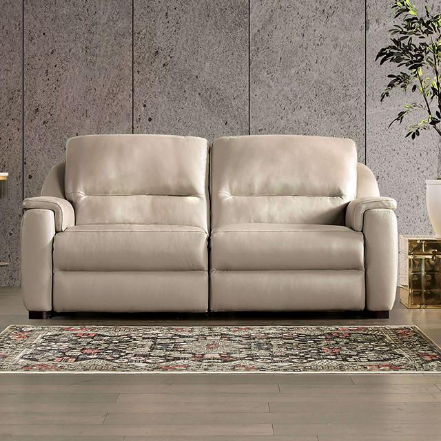 ALTAMURA Power Loveseat, Taupe - Premium Loveseat from FOA East - Just $2728.05! Shop now at Furniture Wholesale Plus  We are the best furniture store in Nashville, Hendersonville, Goodlettsville, Madison, Antioch, Mount Juliet, Lebanon, Gallatin, Springfield, Murfreesboro, Franklin, Brentwood