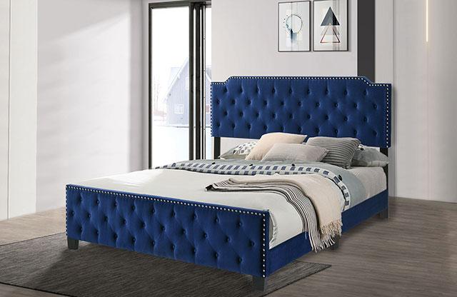 CHARLIZE Cal.King Bed, Navy - Premium Bed from FOA East - Just $366.60! Shop now at Furniture Wholesale Plus  We are the best furniture store in Nashville, Hendersonville, Goodlettsville, Madison, Antioch, Mount Juliet, Lebanon, Gallatin, Springfield, Murfreesboro, Franklin, Brentwood