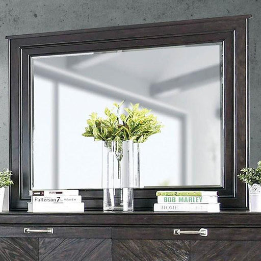 Argyros Espresso Mirror - Premium Mirror from FOA East - Just $195! Shop now at Furniture Wholesale Plus  We are the best furniture store in Nashville, Hendersonville, Goodlettsville, Madison, Antioch, Mount Juliet, Lebanon, Gallatin, Springfield, Murfreesboro, Franklin, Brentwood