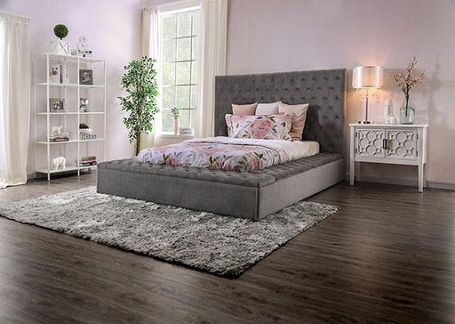 GOLATI Queen Bed, Gray - Premium Bed from FOA East - Just $889.20! Shop now at Furniture Wholesale Plus  We are the best furniture store in Nashville, Hendersonville, Goodlettsville, Madison, Antioch, Mount Juliet, Lebanon, Gallatin, Springfield, Murfreesboro, Franklin, Brentwood