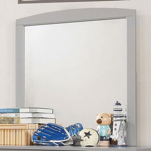 Caren Gray Mirror - Premium Mirror from FOA East - Just $117! Shop now at Furniture Wholesale Plus  We are the best furniture store in Nashville, Hendersonville, Goodlettsville, Madison, Antioch, Mount Juliet, Lebanon, Gallatin, Springfield, Murfreesboro, Franklin, Brentwood