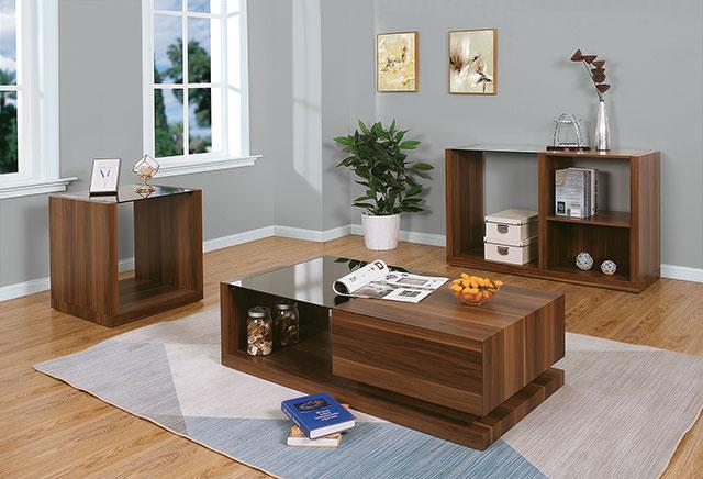 LANGENTHAL End Table - Premium End Table from FOA East - Just $269.10! Shop now at Furniture Wholesale Plus  We are the best furniture store in Nashville, Hendersonville, Goodlettsville, Madison, Antioch, Mount Juliet, Lebanon, Gallatin, Springfield, Murfreesboro, Franklin, Brentwood