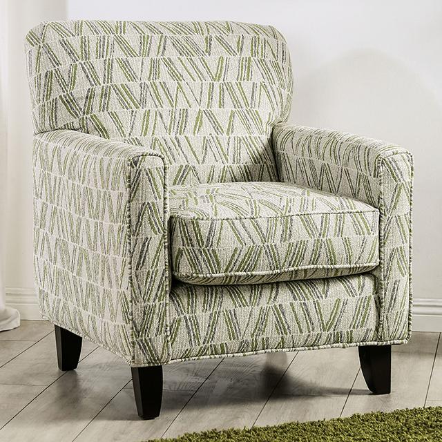 GARDNER Accent Chair - Premium Chair from FOA East - Just $778.05! Shop now at Furniture Wholesale Plus  We are the best furniture store in Nashville, Hendersonville, Goodlettsville, Madison, Antioch, Mount Juliet, Lebanon, Gallatin, Springfield, Murfreesboro, Franklin, Brentwood