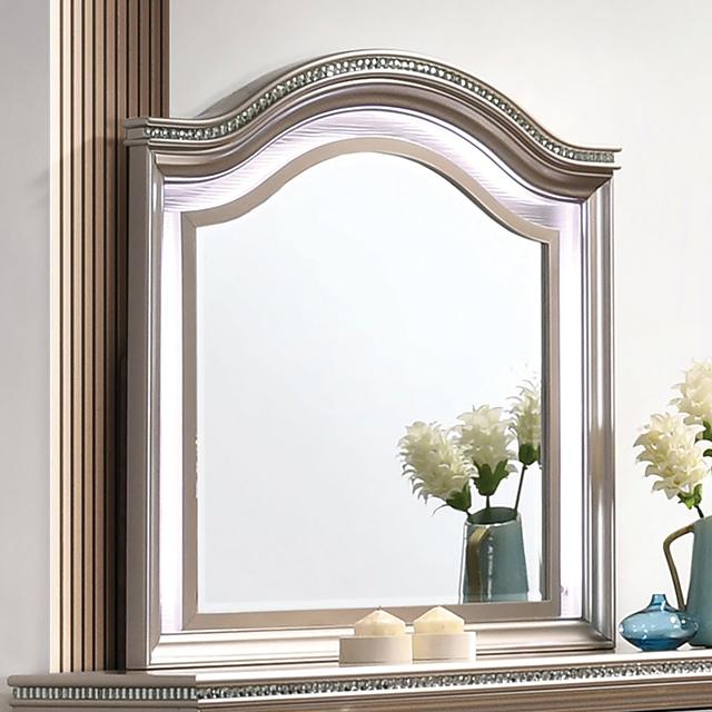 ALLIE Mirror, Rose Gold - Premium Mirror from FOA East - Just $253.50! Shop now at Furniture Wholesale Plus  We are the best furniture store in Nashville, Hendersonville, Goodlettsville, Madison, Antioch, Mount Juliet, Lebanon, Gallatin, Springfield, Murfreesboro, Franklin, Brentwood