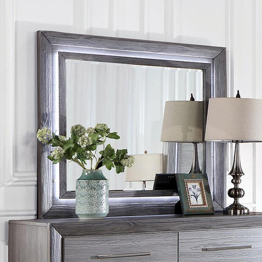 RAIDEN Mirror w/ LED, Gray - Premium Mirror from FOA East - Just $292.50! Shop now at Furniture Wholesale Plus  We are the best furniture store in Nashville, Hendersonville, Goodlettsville, Madison, Antioch, Mount Juliet, Lebanon, Gallatin, Springfield, Murfreesboro, Franklin, Brentwood