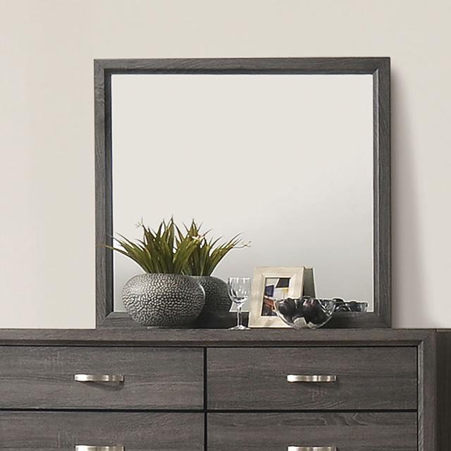 Errico Mirror - Premium Mirror from FOA East - Just $78! Shop now at Furniture Wholesale Plus  We are the best furniture store in Nashville, Hendersonville, Goodlettsville, Madison, Antioch, Mount Juliet, Lebanon, Gallatin, Springfield, Murfreesboro, Franklin, Brentwood