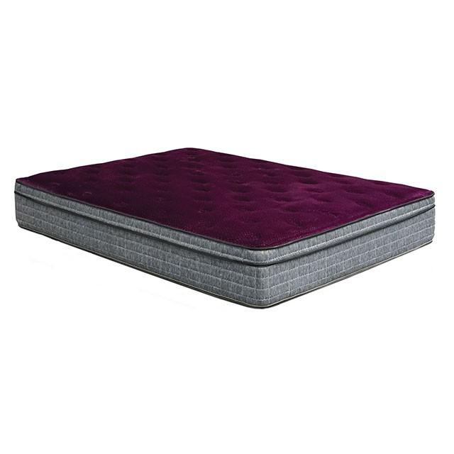 Purple/Grey 13" Euro Pillow Top Mattress Non-Flip, Full - Premium Mattress from FOA East - Just $813.15! Shop now at Furniture Wholesale Plus  We are the best furniture store in Nashville, Hendersonville, Goodlettsville, Madison, Antioch, Mount Juliet, Lebanon, Gallatin, Springfield, Murfreesboro, Franklin, Brentwood