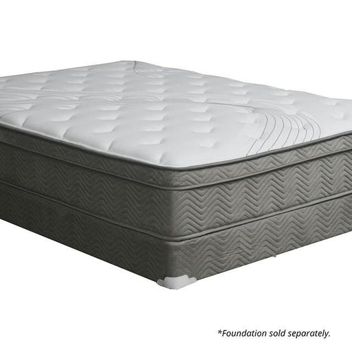 AFTON White/Gray 12" Euro Box Pocket Coil, Queen - Premium Mattress from FOA East - Just $973.05! Shop now at Furniture Wholesale Plus  We are the best furniture store in Nashville, Hendersonville, Goodlettsville, Madison, Antioch, Mount Juliet, Lebanon, Gallatin, Springfield, Murfreesboro, Franklin, Brentwood