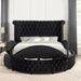 SANSOM E.King Bed, Black - Premium Bed from FOA East - Just $1324.05! Shop now at Furniture Wholesale Plus  We are the best furniture store in Nashville, Hendersonville, Goodlettsville, Madison, Antioch, Mount Juliet, Lebanon, Gallatin, Springfield, Murfreesboro, Franklin, Brentwood