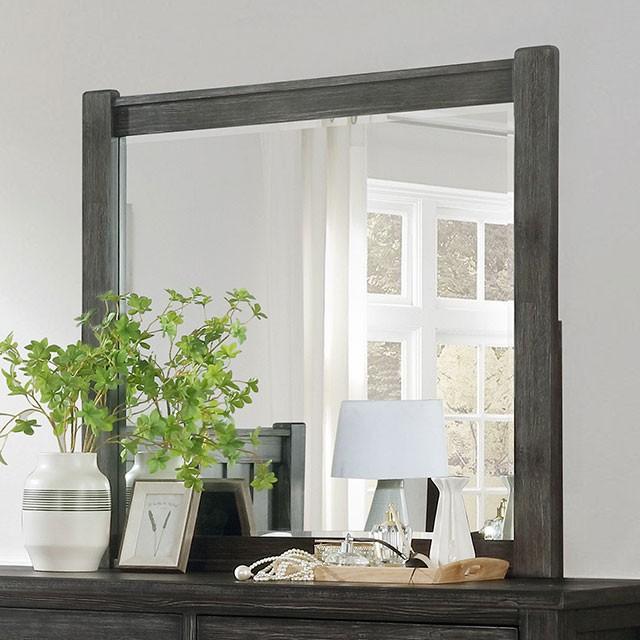 REGENSBURG Mirror - Premium Mirror from FOA East - Just $150.15! Shop now at Furniture Wholesale Plus  We are the best furniture store in Nashville, Hendersonville, Goodlettsville, Madison, Antioch, Mount Juliet, Lebanon, Gallatin, Springfield, Murfreesboro, Franklin, Brentwood