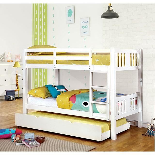 CAMERON Twin/Twin Bunk Bed - Premium Bunk Bed from FOA East - Just $505.05! Shop now at Furniture Wholesale Plus  We are the best furniture store in Nashville, Hendersonville, Goodlettsville, Madison, Antioch, Mount Juliet, Lebanon, Gallatin, Springfield, Murfreesboro, Franklin, Brentwood