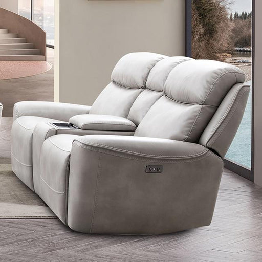 ARTEMIA Power Loveseat, Light Taupe - Premium Loveseat from FOA East - Just $1583.40! Shop now at Furniture Wholesale Plus  We are the best furniture store in Nashville, Hendersonville, Goodlettsville, Madison, Antioch, Mount Juliet, Lebanon, Gallatin, Springfield, Murfreesboro, Franklin, Brentwood