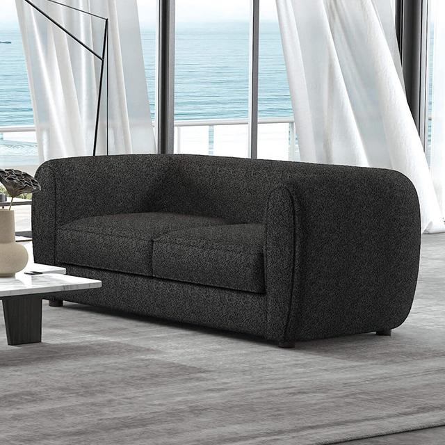 VERDAL Loveseat, Black - Premium Loveseat from FOA East - Just $936! Shop now at Furniture Wholesale Plus  We are the best furniture store in Nashville, Hendersonville, Goodlettsville, Madison, Antioch, Mount Juliet, Lebanon, Gallatin, Springfield, Murfreesboro, Franklin, Brentwood