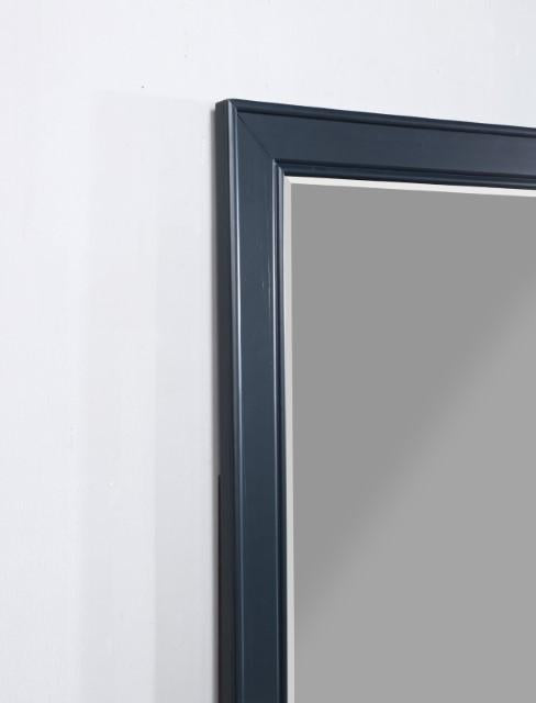 MANZANILLO Mirror - Premium Mirror from FOA East - Just $156! Shop now at Furniture Wholesale Plus  We are the best furniture store in Nashville, Hendersonville, Goodlettsville, Madison, Antioch, Mount Juliet, Lebanon, Gallatin, Springfield, Murfreesboro, Franklin, Brentwood