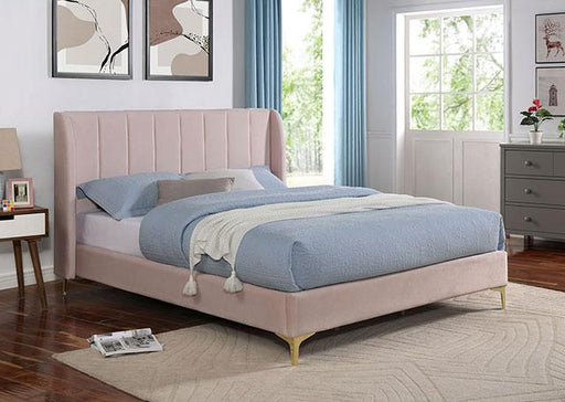 PEARL Queen Bed, Light Pink - Premium Bed from FOA East - Just $388.05! Shop now at Furniture Wholesale Plus  We are the best furniture store in Nashville, Hendersonville, Goodlettsville, Madison, Antioch, Mount Juliet, Lebanon, Gallatin, Springfield, Murfreesboro, Franklin, Brentwood