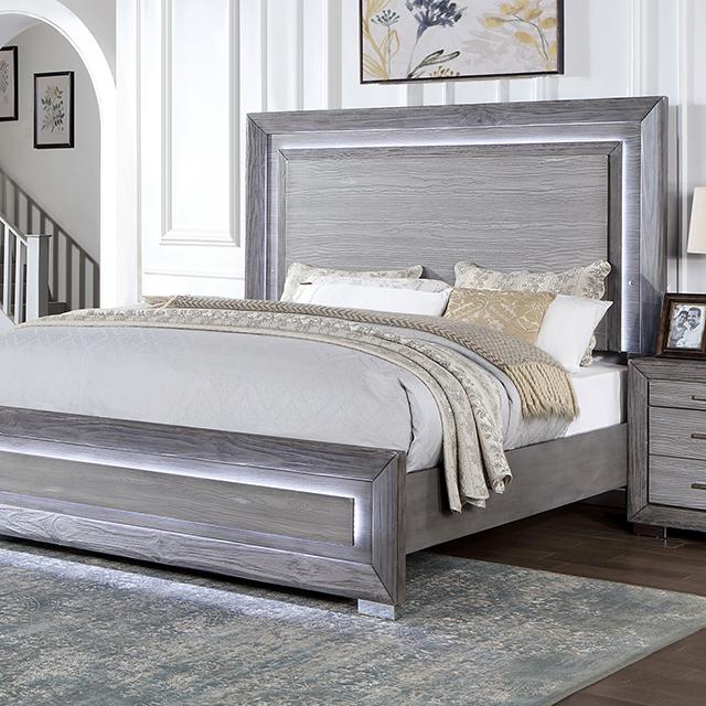 RAIDEN Queen Bed, Gray - Premium Bed from FOA East - Just $973.05! Shop now at Furniture Wholesale Plus  We are the best furniture store in Nashville, Hendersonville, Goodlettsville, Madison, Antioch, Mount Juliet, Lebanon, Gallatin, Springfield, Murfreesboro, Franklin, Brentwood