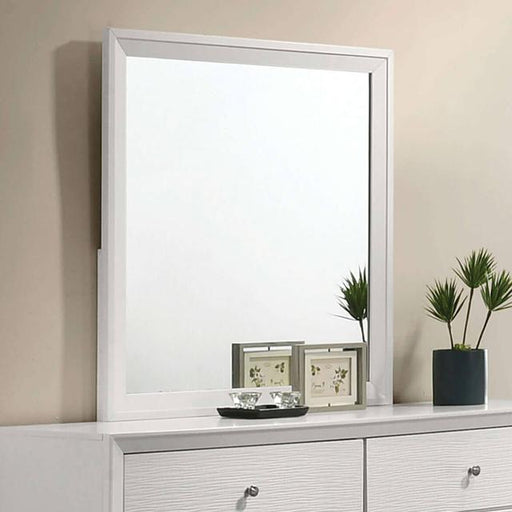 DORTMUND Mirror - Premium Mirror from FOA East - Just $117! Shop now at Furniture Wholesale Plus  We are the best furniture store in Nashville, Hendersonville, Goodlettsville, Madison, Antioch, Mount Juliet, Lebanon, Gallatin, Springfield, Murfreesboro, Franklin, Brentwood