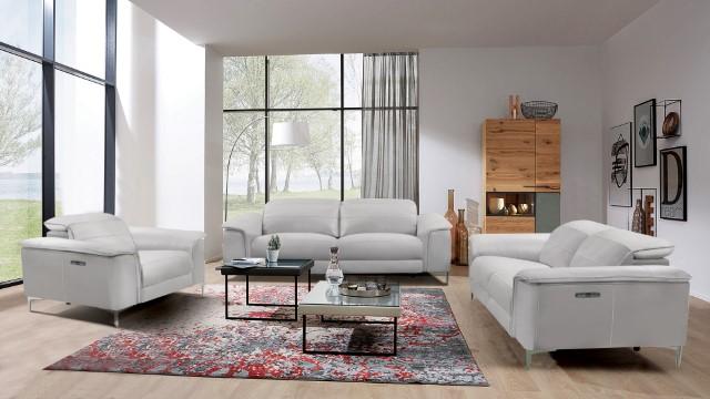 ASCONA Power Loveseat, Light Taupe - Premium Loveseat from FOA East - Just $1509.30! Shop now at Furniture Wholesale Plus  We are the best furniture store in Nashville, Hendersonville, Goodlettsville, Madison, Antioch, Mount Juliet, Lebanon, Gallatin, Springfield, Murfreesboro, Franklin, Brentwood