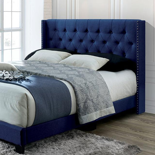 JENELLE Twin Bed, Navy - Premium Youth Bed from FOA East - Just $255.45! Shop now at Furniture Wholesale Plus  We are the best furniture store in Nashville, Hendersonville, Goodlettsville, Madison, Antioch, Mount Juliet, Lebanon, Gallatin, Springfield, Murfreesboro, Franklin, Brentwood