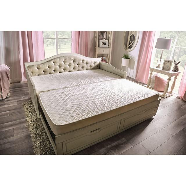 MAUREEN Daybed w/ Extentable Trundle - Premium Daybed from FOA East - Just $813.15! Shop now at Furniture Wholesale Plus  We are the best furniture store in Nashville, Hendersonville, Goodlettsville, Madison, Antioch, Mount Juliet, Lebanon, Gallatin, Springfield, Murfreesboro, Franklin, Brentwood